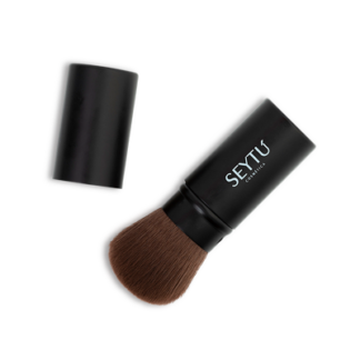 retractile brush